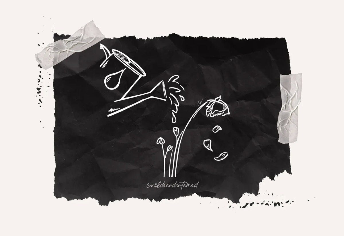 drawing of watering a dying flower and new ones are budding and blooming, to represent self care and self forgiveness
