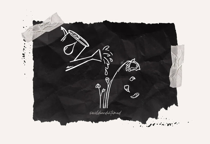 drawing of watering a dying flower and new ones are budding and blooming, to represent self care and self forgiveness 